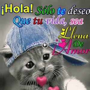 Meet your Posher, Araceli